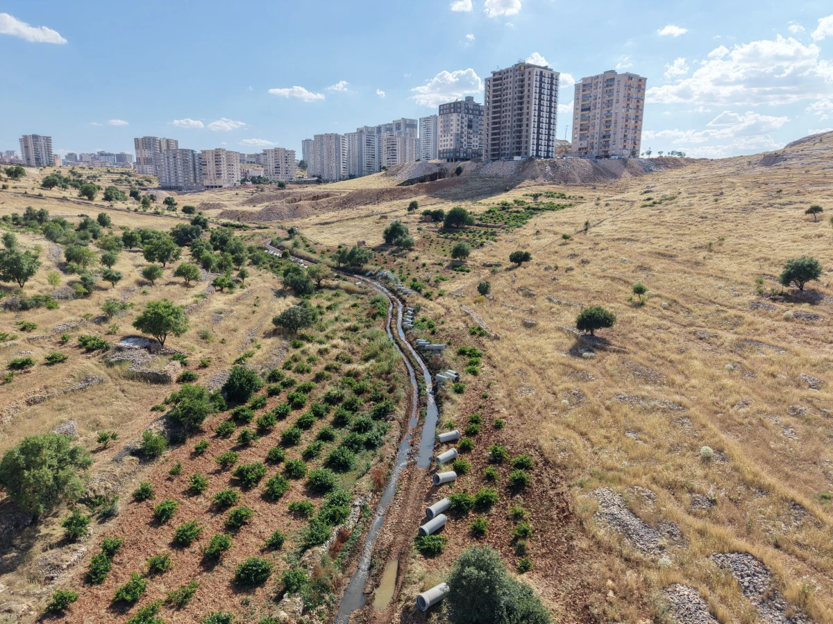 MARSU, Bir Dereyi Daha Yer Altına Alıyor; Tarım Arazileri Korunuyor