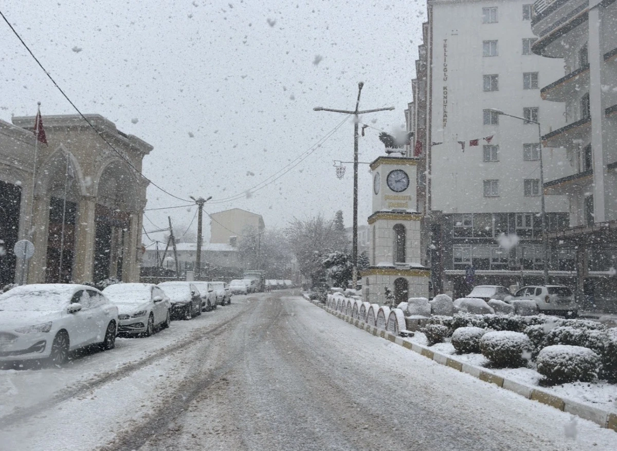 Mazıdağı'nda mart ayında kar yağışı etkili oldu