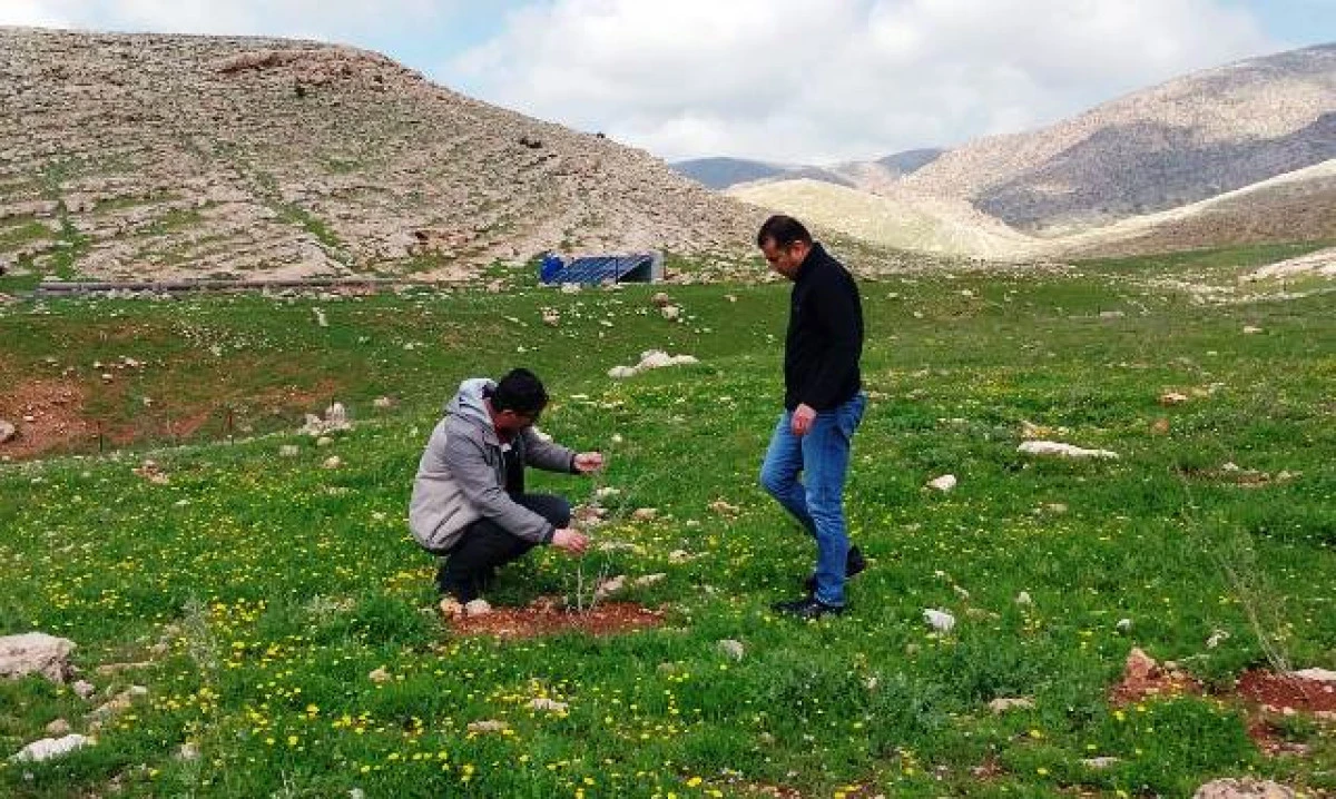 Mera Islah &Ccedil;alışmaları Yerinde İncelendi
