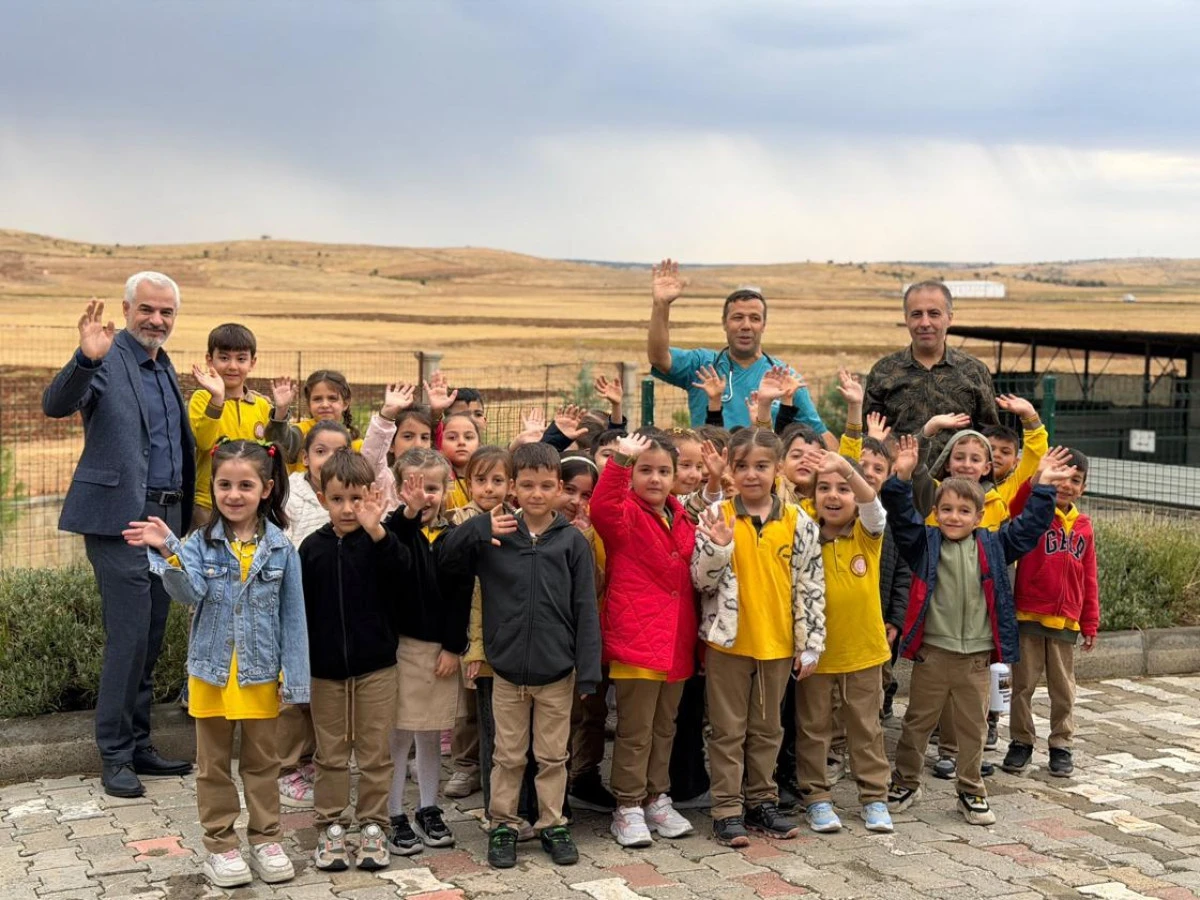 Midyat&rsquo;ta &Ccedil;ocuklara Hayvan Sevgisi Aşılandı