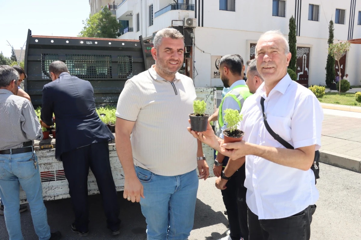 Midyat’ta Vatandaşlara Fesleğen ve Reyhan Dağıtıldı