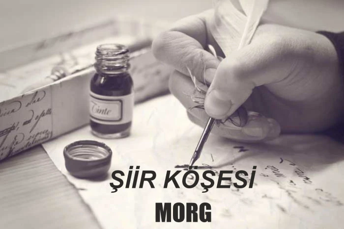 MORG