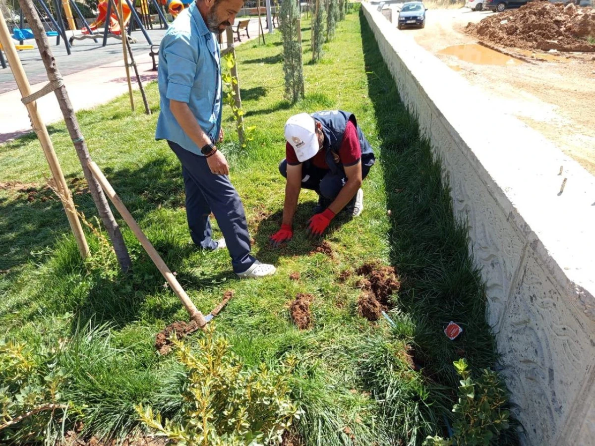 Park ve Bah&ccedil;elerde Bakım &Ccedil;alışmaları S&uuml;r&uuml;yor