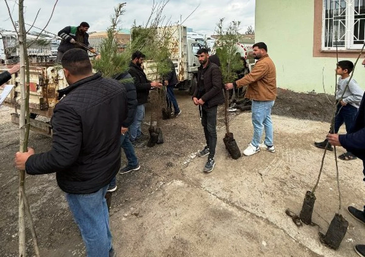 Yeşil Bir Artuklu İ&ccedil;in Fidan Seberliği S&uuml;r&uuml;yor