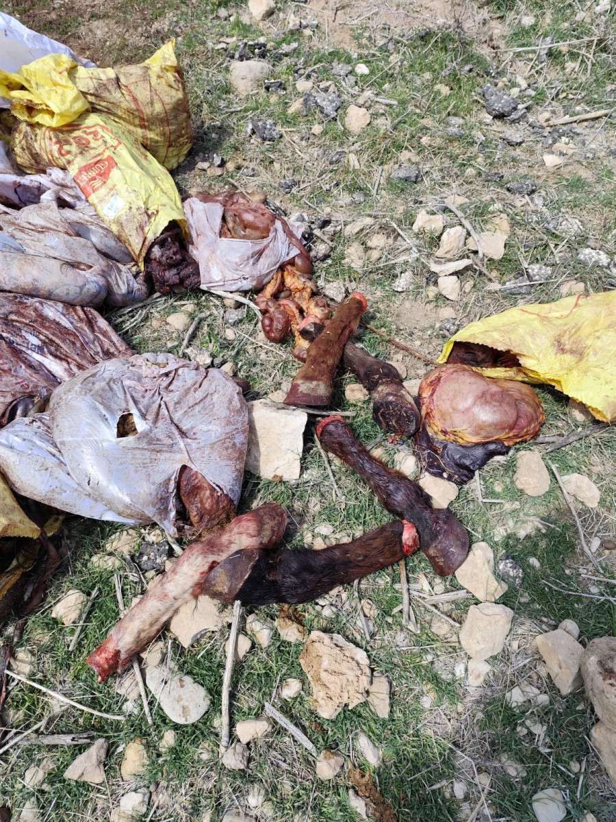 Yeşilli’de Kaçak Et Kesimi Yalan Haber Çıktı