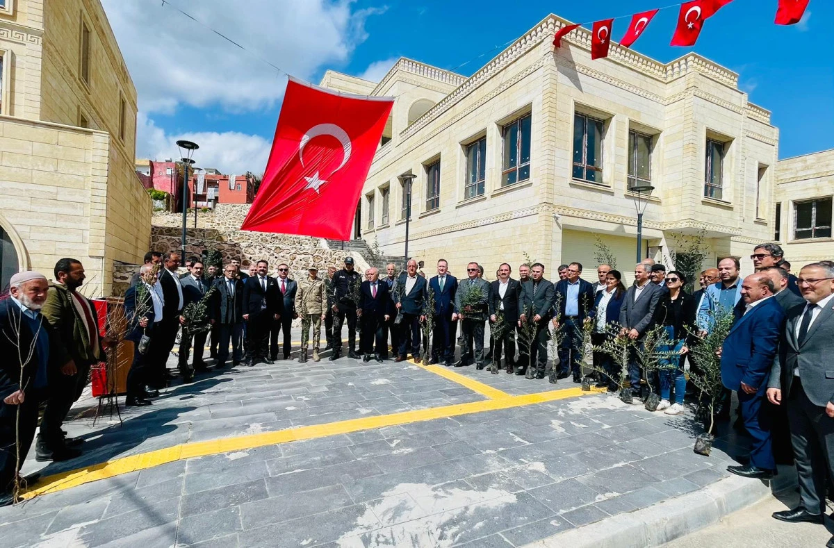 Yeşilli&rsquo;de Tarihi Rekor! 102 Bin Meyveli Fidan Dağıtıldı