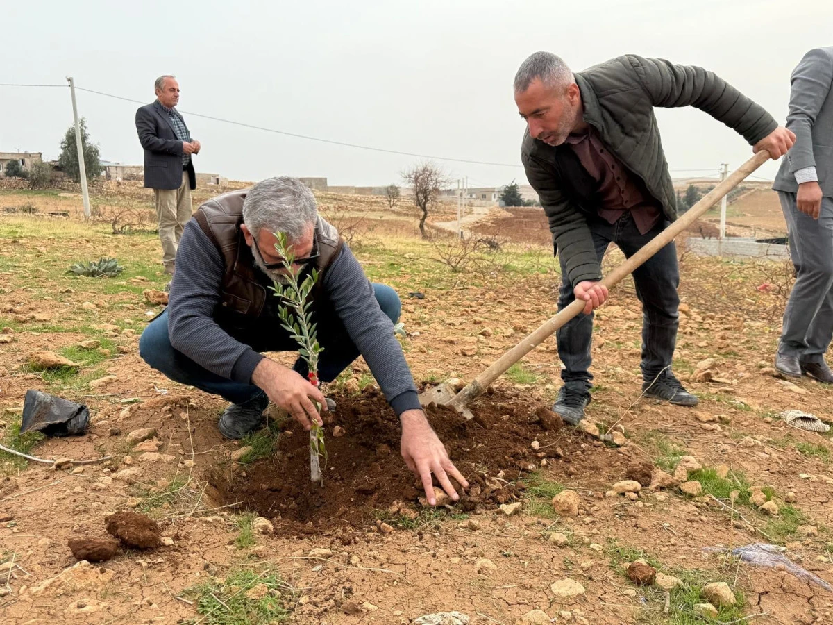 Zeytinli Mahallesi sıfır atık k&ouml;y&uuml; olma yolunda ilerliyor