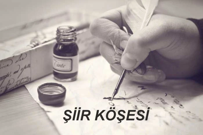 Yusuf Metin Yardımcı