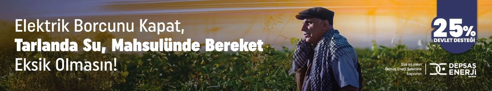 dicle elektirk